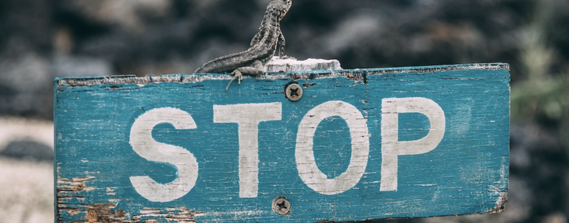 Let Me Talk You Out of Being an Entrepreneur